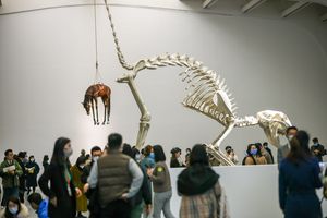 Maurizio Cattelan, _The Last Judgment_, UCCA, Beijing (20 November 2021–20 February 2022). Courtesy UCCA Center for Contemporary Art.